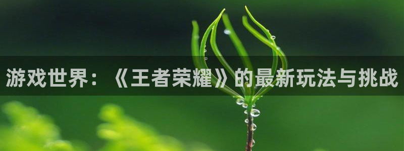 杏宇平台注册地址在哪里看到：游戏世界：《王者荣耀》的最新玩法