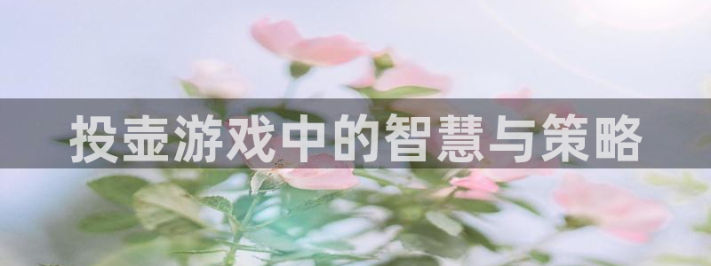 杏宇娱乐平台最新版下载安装：投壶游戏中的智慧与策略