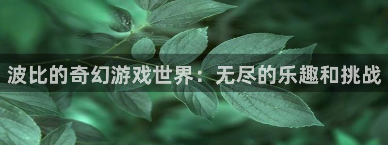 杏宇：波比的奇幻游戏世界：无尽的乐趣和挑战