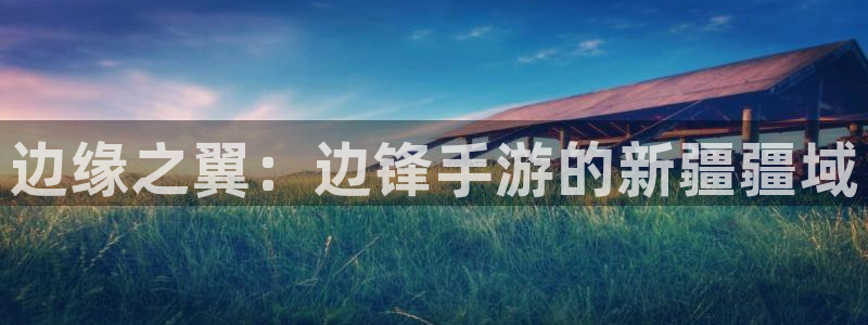 杏宇总代理