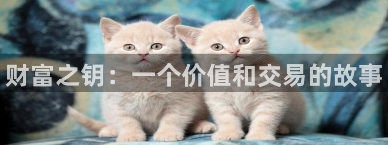杏宇平台登陆入口：财富之钥：一个价值和交易的故事