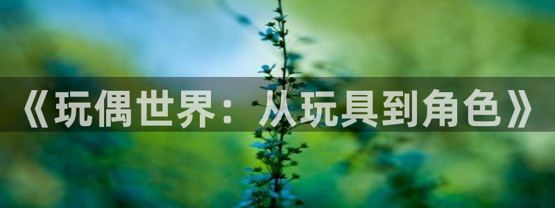 杏宇娱乐登录官网下载：《玩偶世界：从玩具到角色》