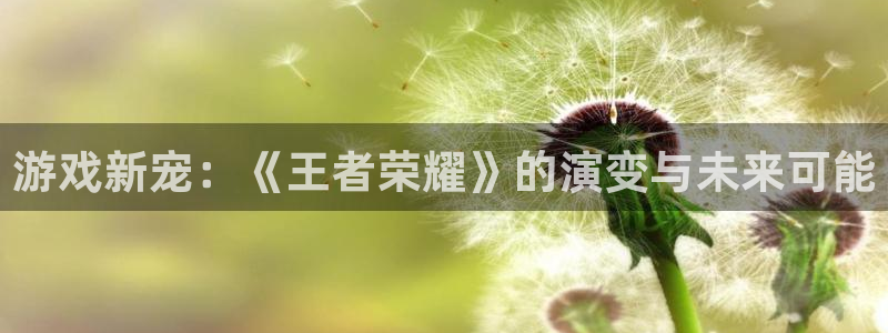 杏宇娱乐登录官网入口下载：游戏新宠：《王者荣耀》的演变与未来