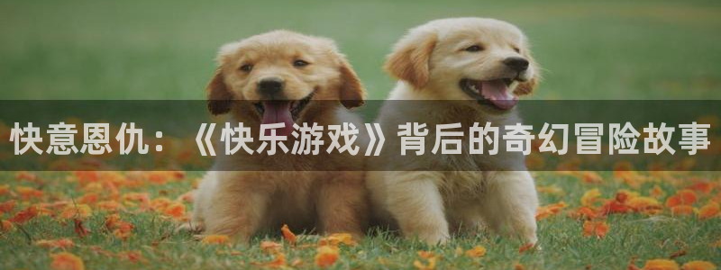 杏宇平台注册地址在哪里看到：快意恩仇：《快乐游戏》背后的奇幻